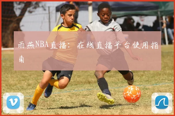 雨燕NBA直播：在线直播平台使用指南