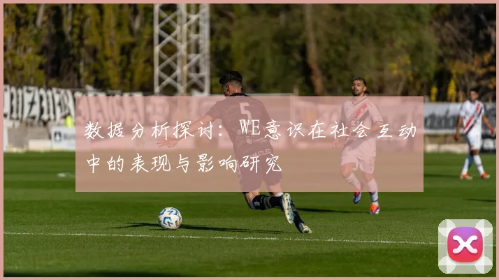数据分析探讨：WE意识在社会互动中的表现与影响研究