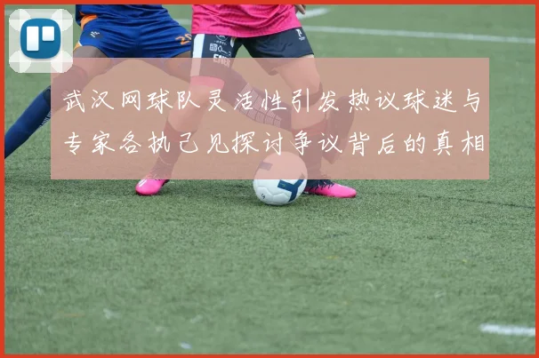 武汉网球队灵活性引发热议球迷与专家各执己见探讨争议背后的真相