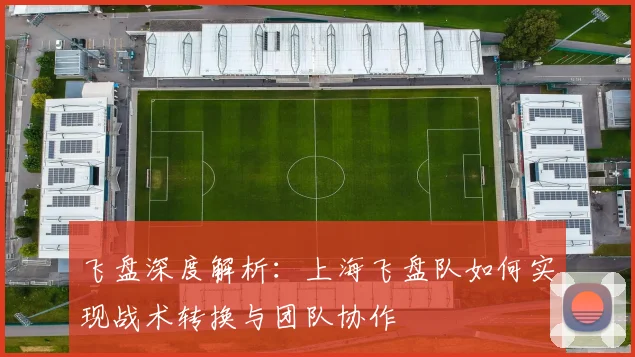 飞盘深度解析：上海飞盘队如何实现战术转换与团队协作
