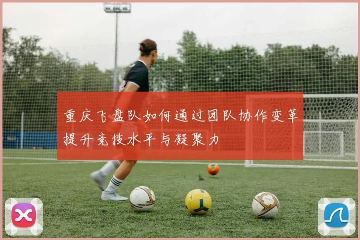 重庆飞盘队如何通过团队协作变革提升竞技水平与凝聚力
